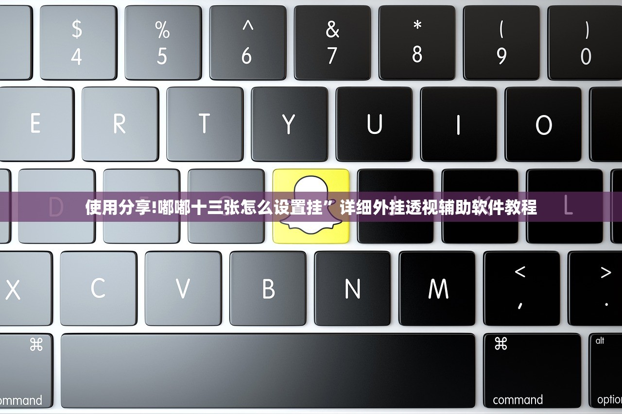 使用分享!嘟嘟十三张怎么设置挂	”详细外挂透视辅助软件教程