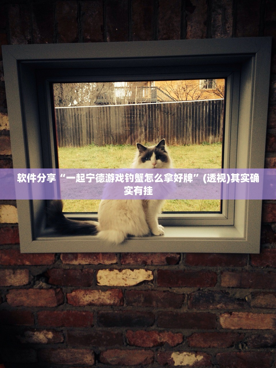软件分享“一起宁德游戏钓蟹怎么拿好牌”(透视)其实确实有挂