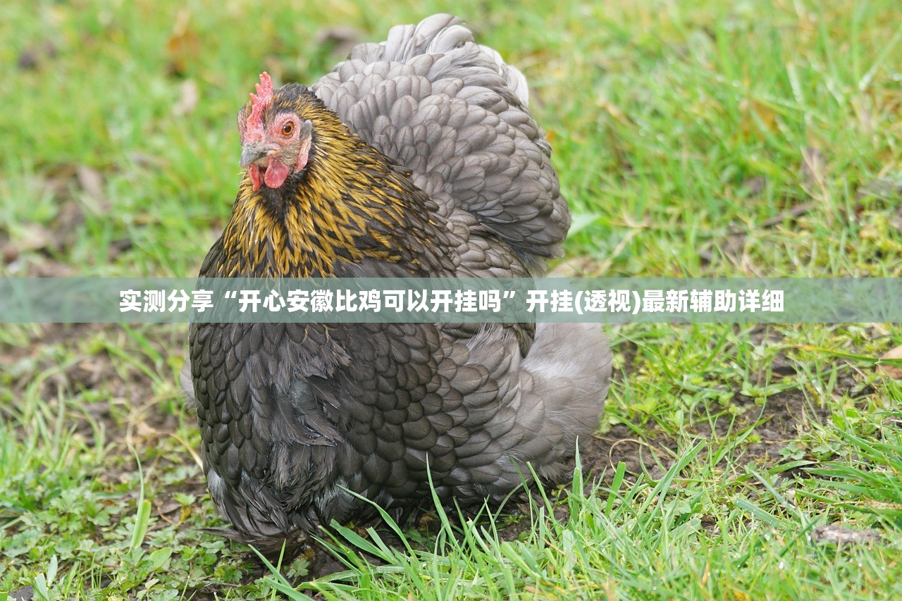 实测分享“开心安徽比鸡可以开挂吗”开挂(透视)最新辅助详细