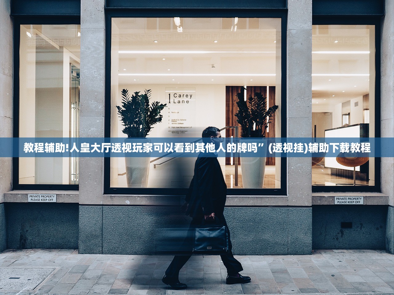 教程辅助!人皇大厅透视玩家可以看到其他人的牌吗	”(透视挂)辅助下载教程