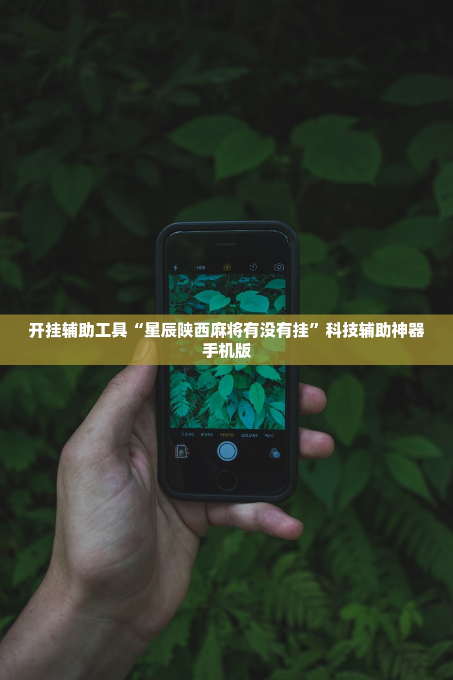 开挂辅助工具“星辰陕西麻将有没有挂”科技辅助神器手机版