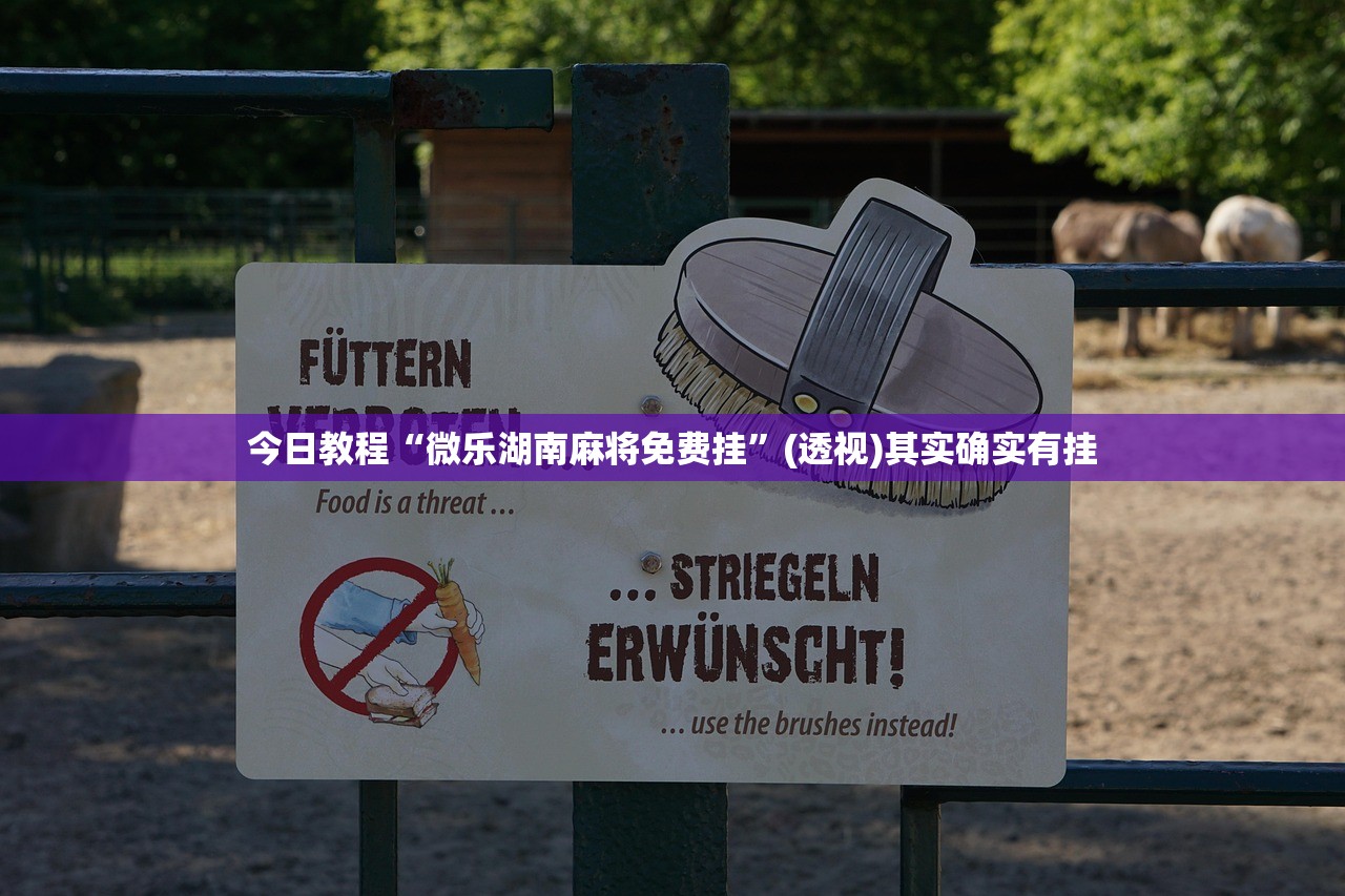 今日教程“微乐湖南麻将免费挂”(透视)其实确实有挂