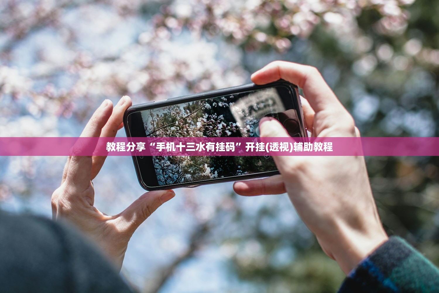 教程分享“手机十三水有挂码”开挂(透视)辅助教程