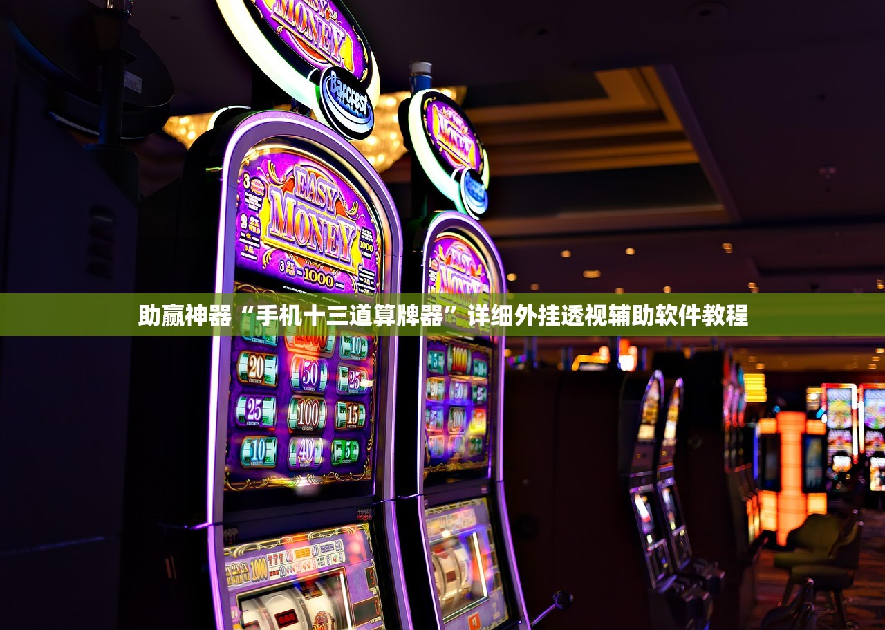 助赢神器“手机十三道算牌器”详细外挂透视辅助软件教程