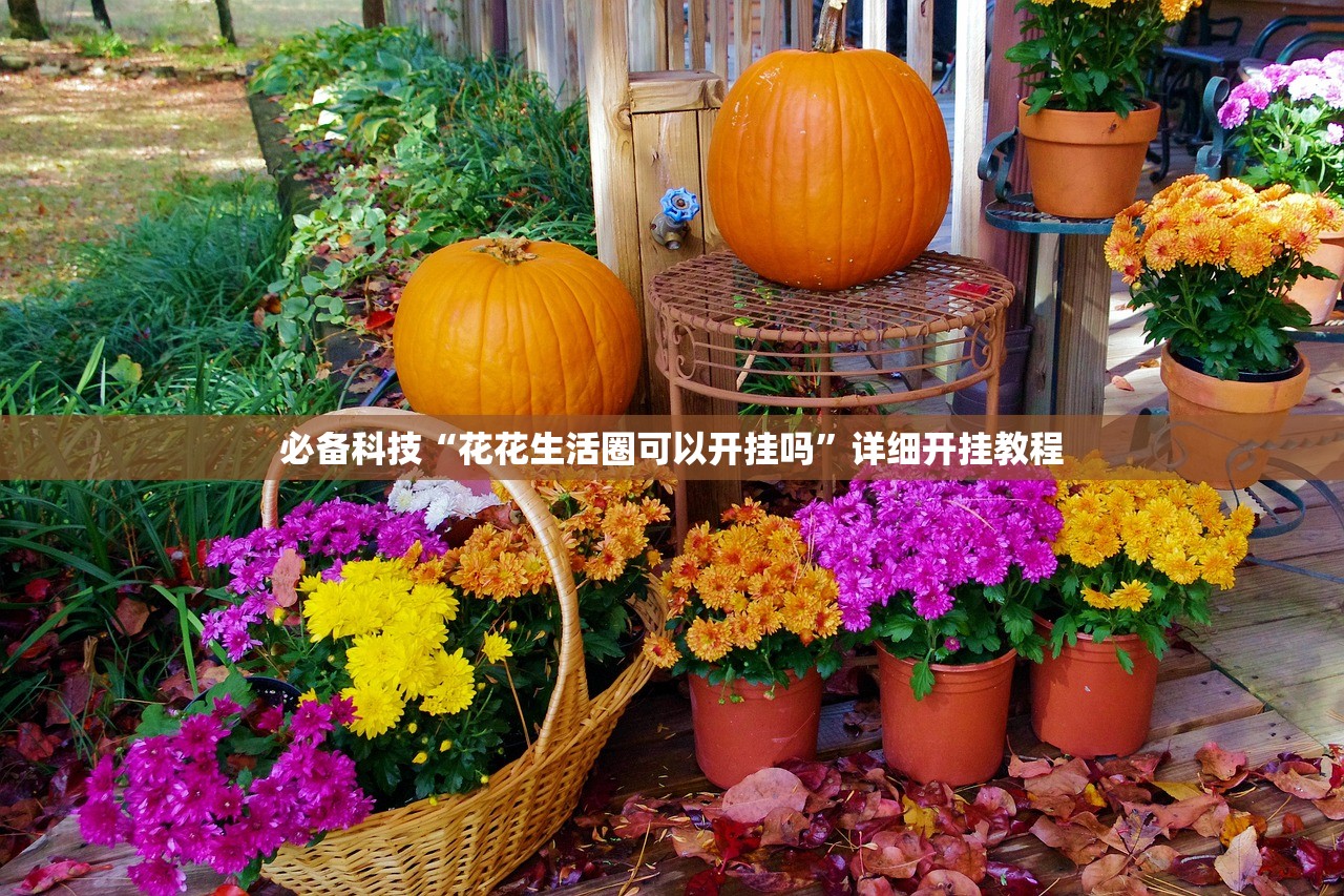 必备科技“花花生活圈可以开挂吗	”详细开挂教程