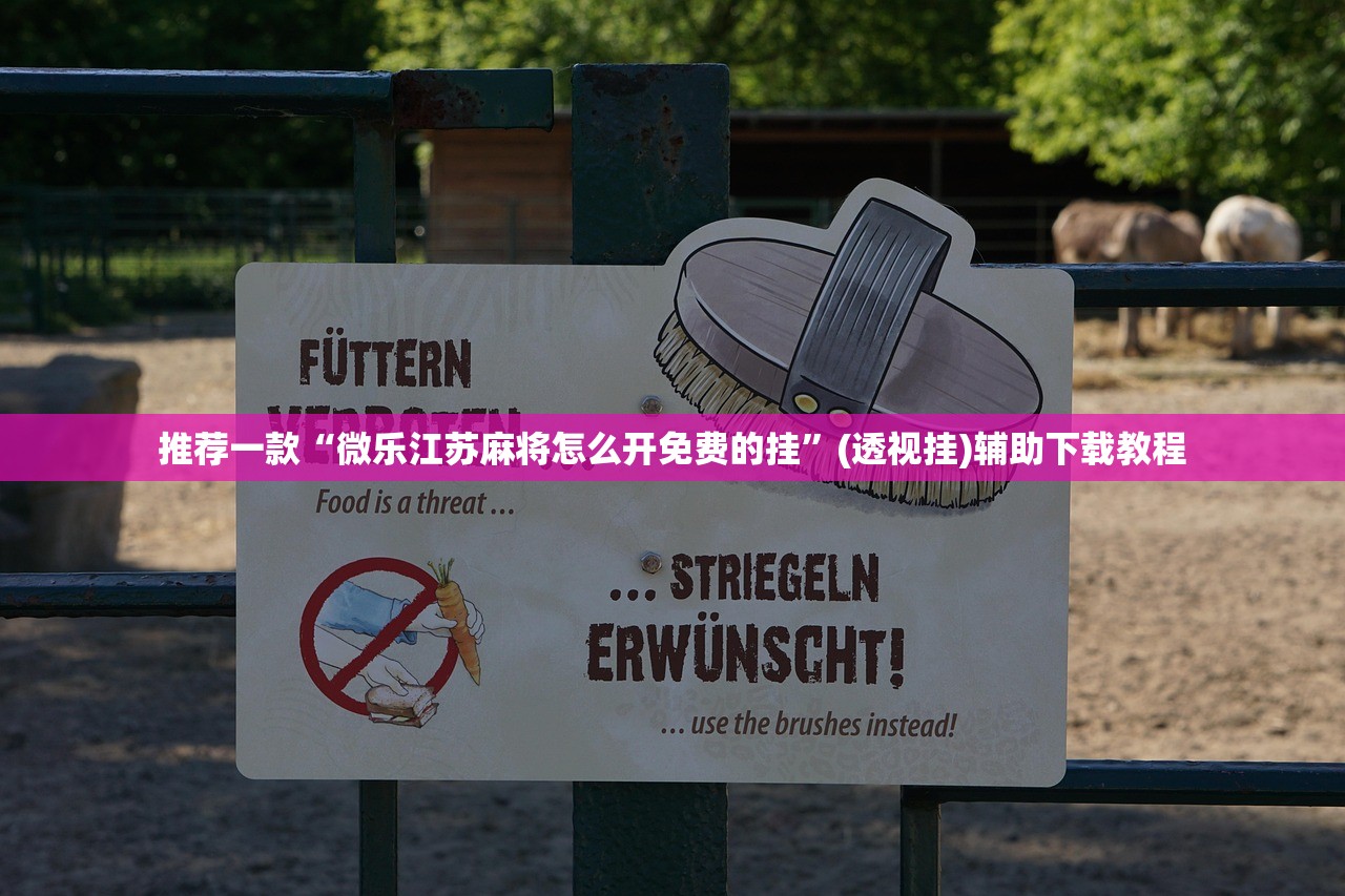 推荐一款“微乐江苏麻将怎么开免费的挂”(透视挂)辅助下载教程