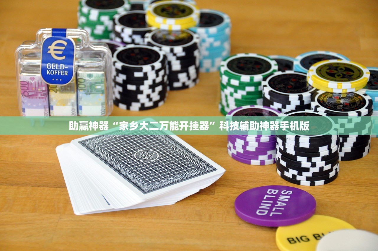 助赢神器“家乡大二万能开挂器	”科技辅助神器手机版