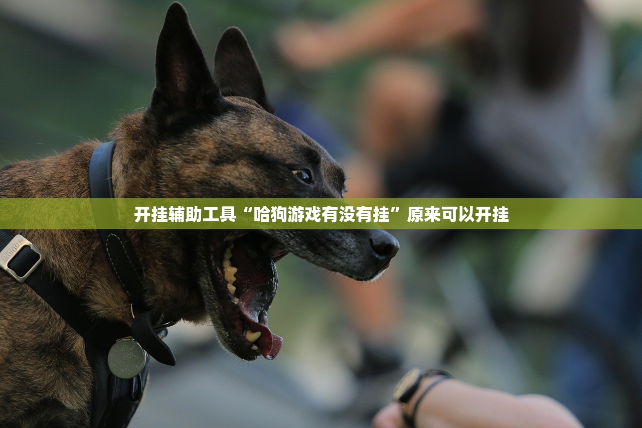 黑龙江新增本土确诊15例:黑龙江新增本土确诊病例5例