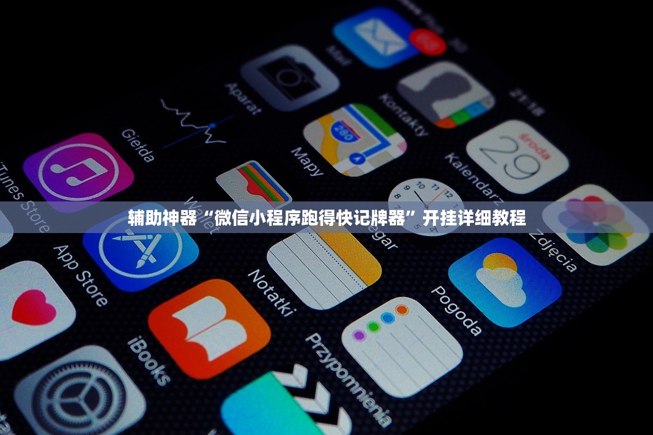 辅助神器“微信小程序跑得快记牌器”开挂详细教程