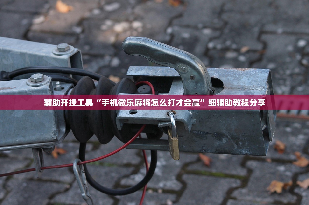 辅助开挂工具“手机微乐麻将怎么打才会赢”细辅助教程分享