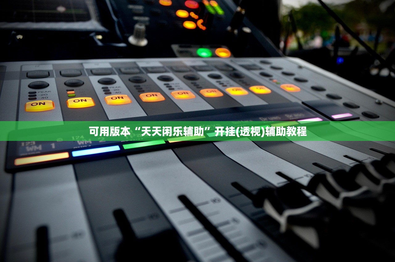 可用版本“天天闲乐辅助”开挂(透视)辅助教程
