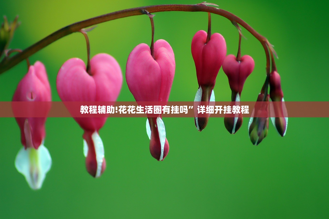 教程辅助!花花生活圈有挂吗”详细开挂教程