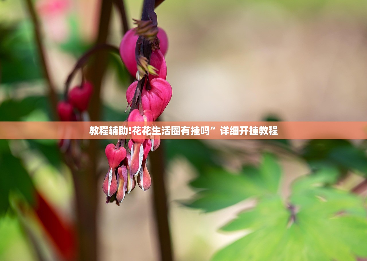教程辅助!花花生活圈有挂吗”详细开挂教程
