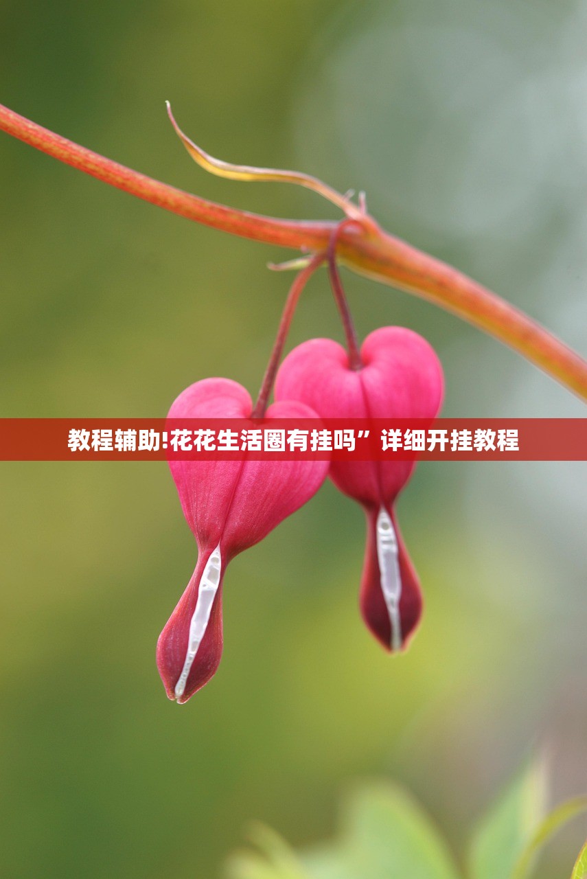 教程辅助!花花生活圈有挂吗”详细开挂教程