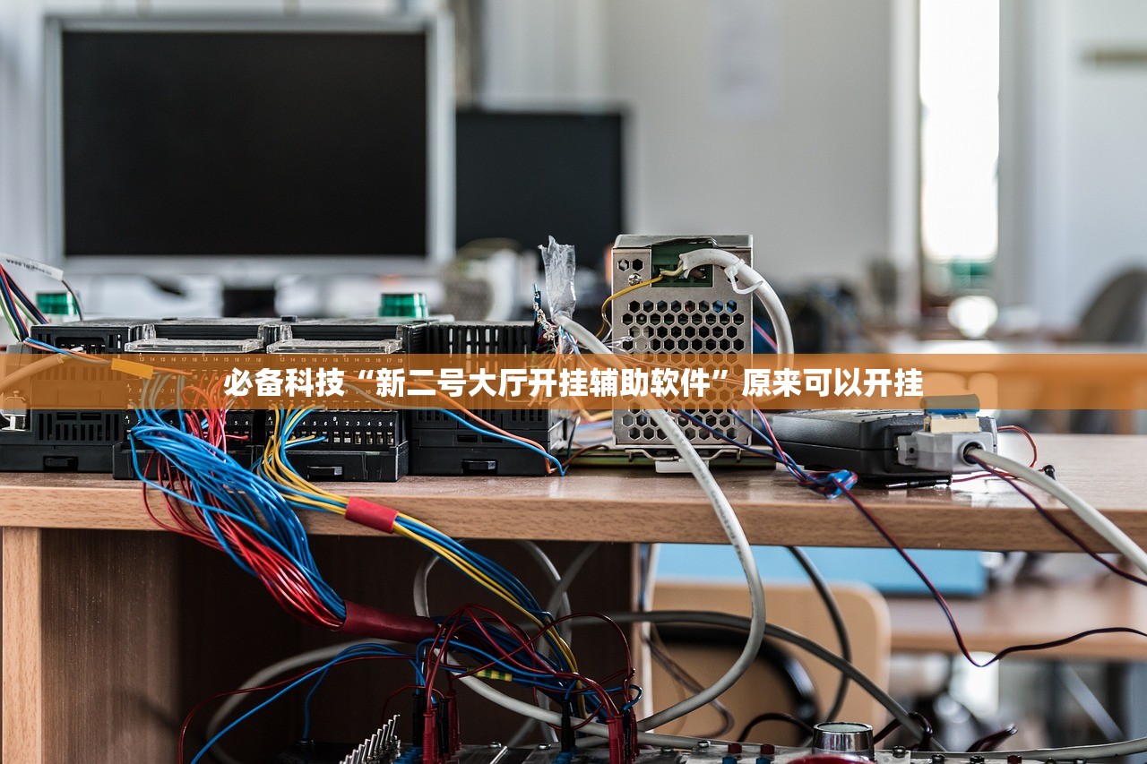必备科技“新二号大厅开挂辅助软件”原来可以开挂