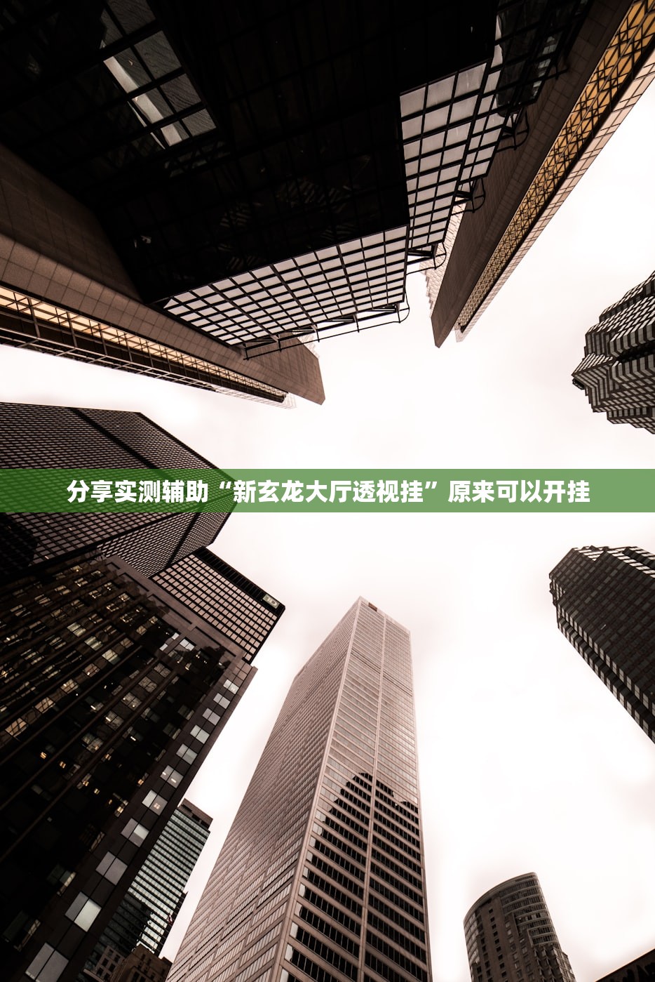 分享实测辅助“新玄龙大厅透视挂”原来可以开挂