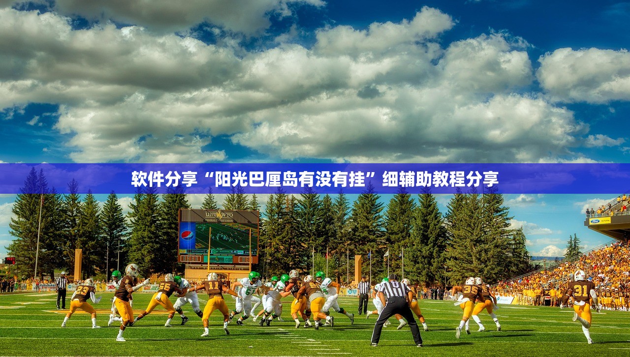 软件分享“阳光巴厘岛有没有挂”细辅助教程分享