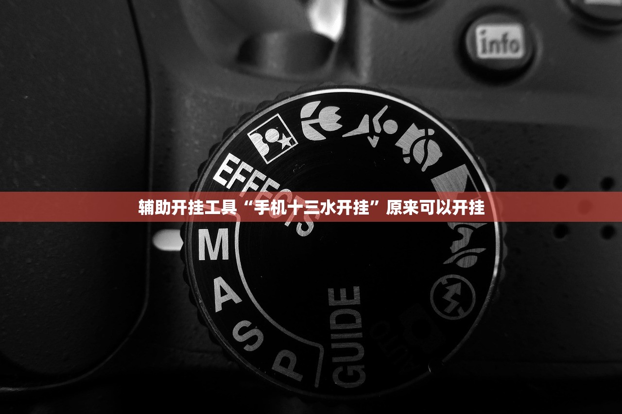 辅助开挂工具“手机十三水开挂”原来可以开挂