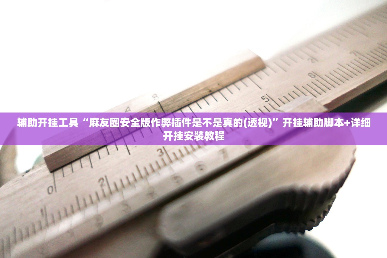 辅助神器“微乐广西麻将开挂版本软件免费(透视)”开挂辅助脚本+详细开挂安装教程