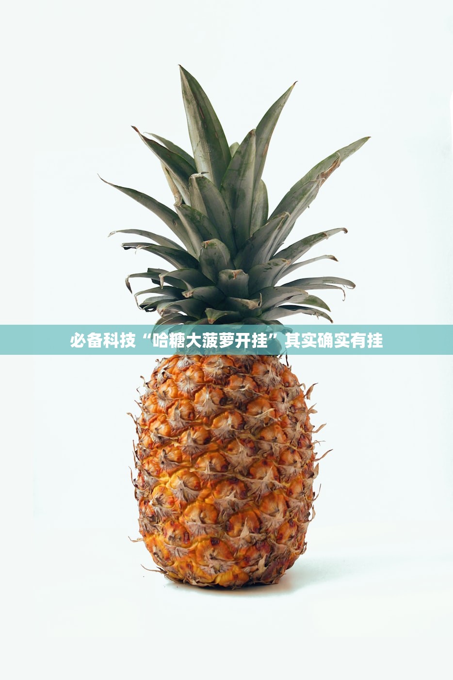 强力推荐“微乐广西麻将万能开挂器”开挂(透视)辅助神器