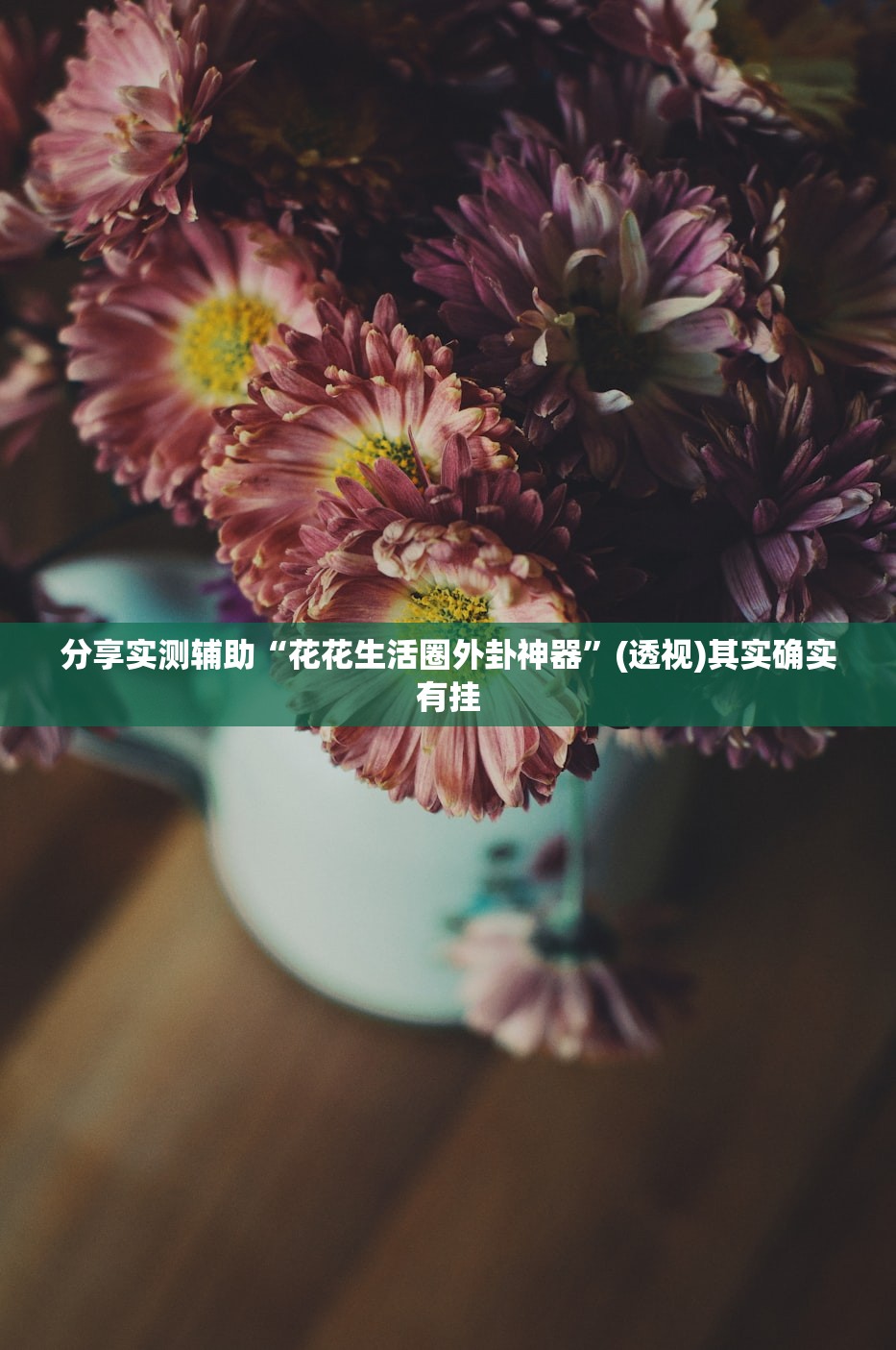 实测神器辅助“先锋大厅透视开挂”开挂(透视)辅助教程