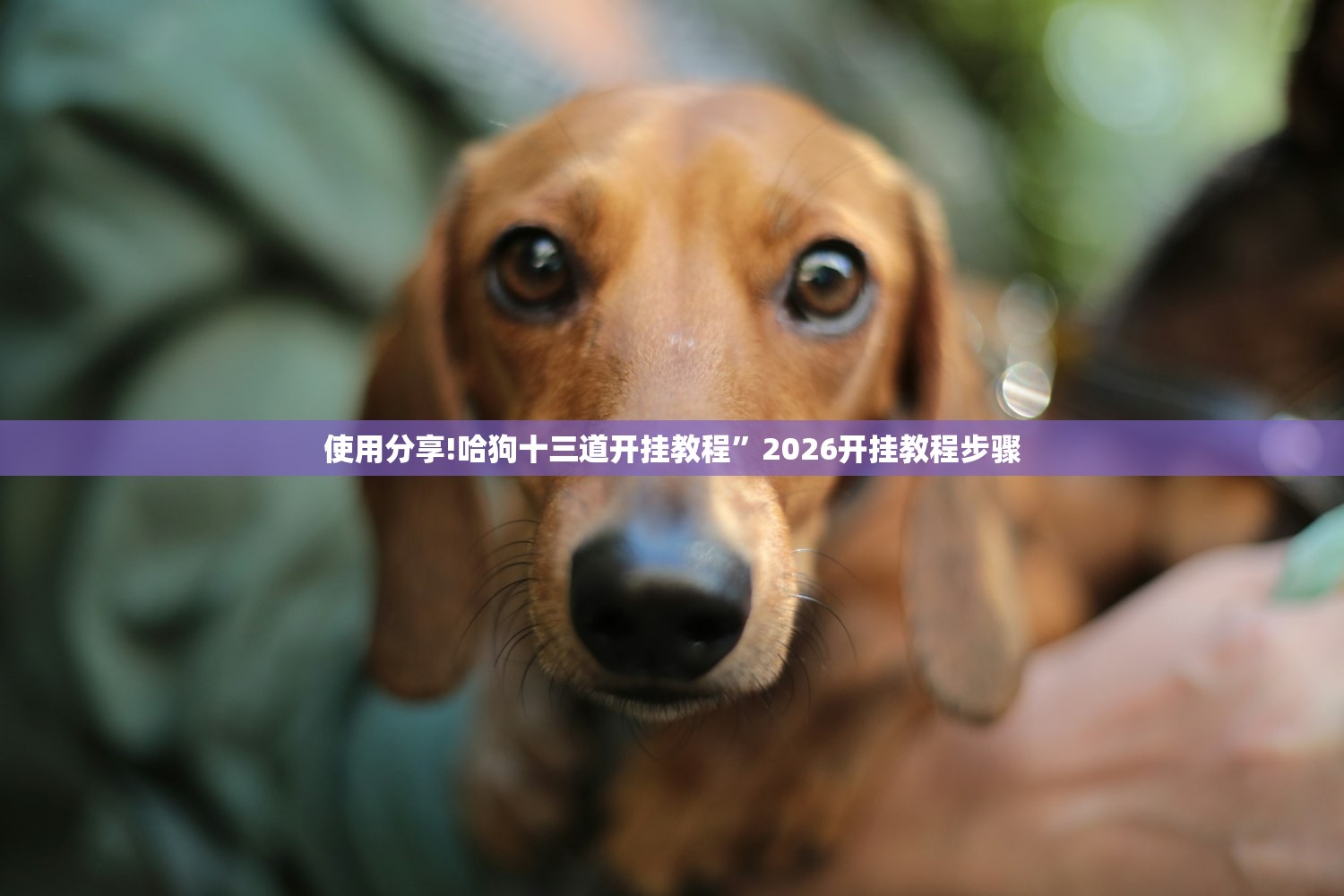 教程更新!：莫莫娱乐怎么开挂”详细外挂透视辅助软件教程