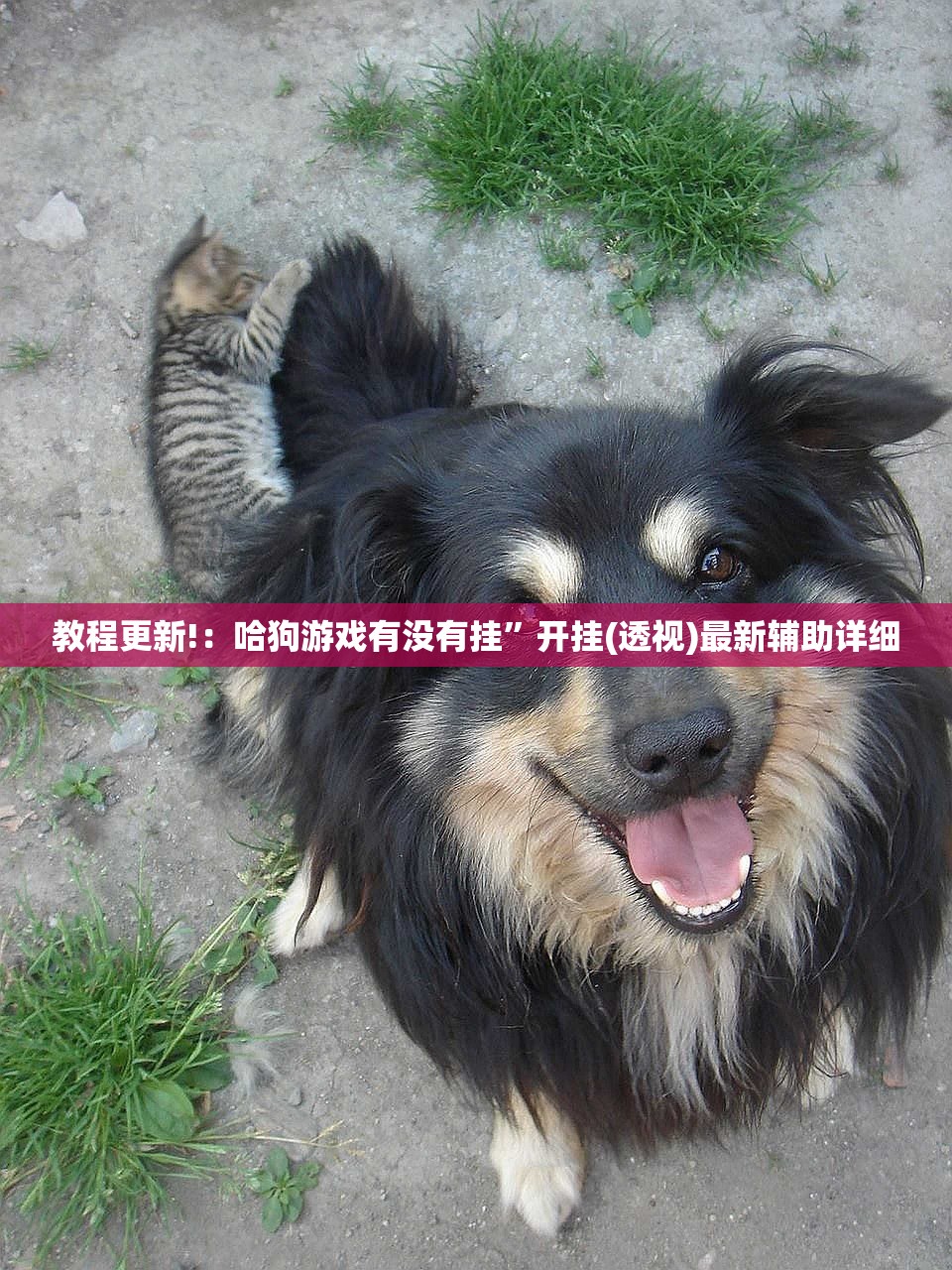 教程更新!：哈狗游戏有没有挂	”开挂(透视)最新辅助详细