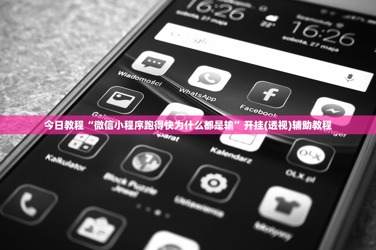 今日教程“微信小程序跑得快为什么都是输”开挂(透视)辅助教程