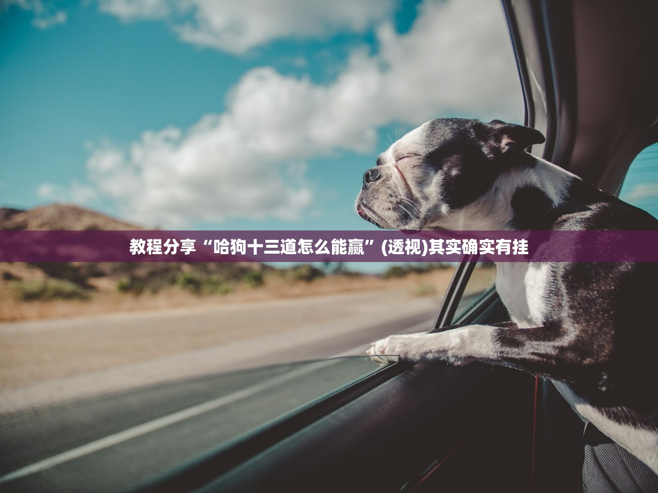 使用分享!hhpoker德州作弊”开挂辅助脚本+详细开挂安装教程
