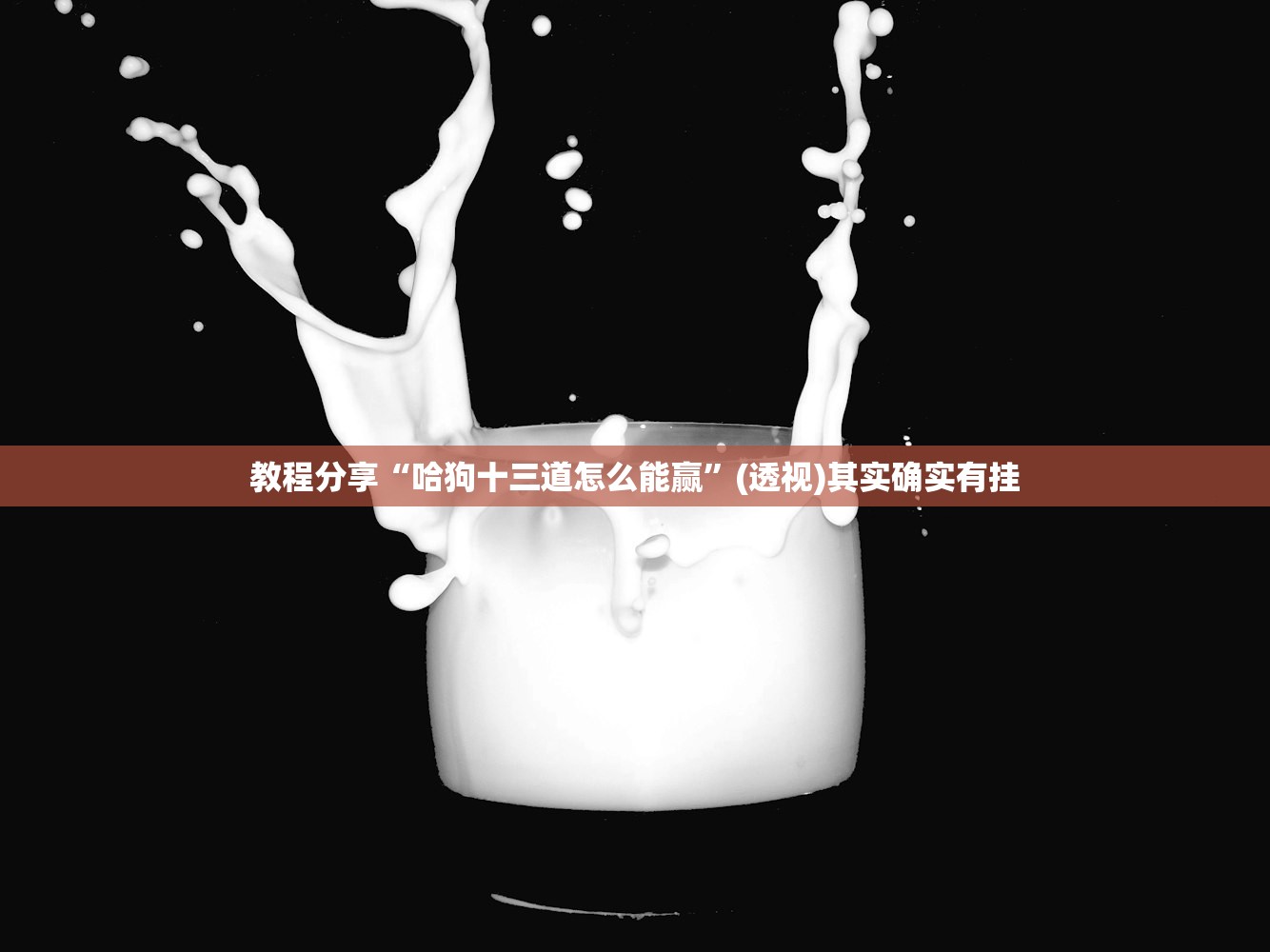 教程分享“哈狗十三道怎么能赢	”(透视)其实确实有挂