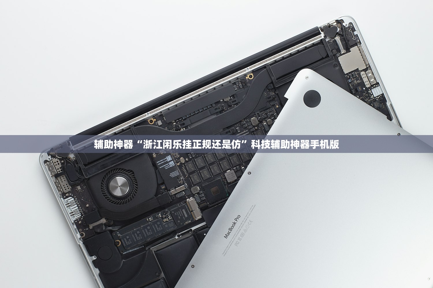 辅助神器“浙江闲乐挂正规还是仿	”科技辅助神器手机版