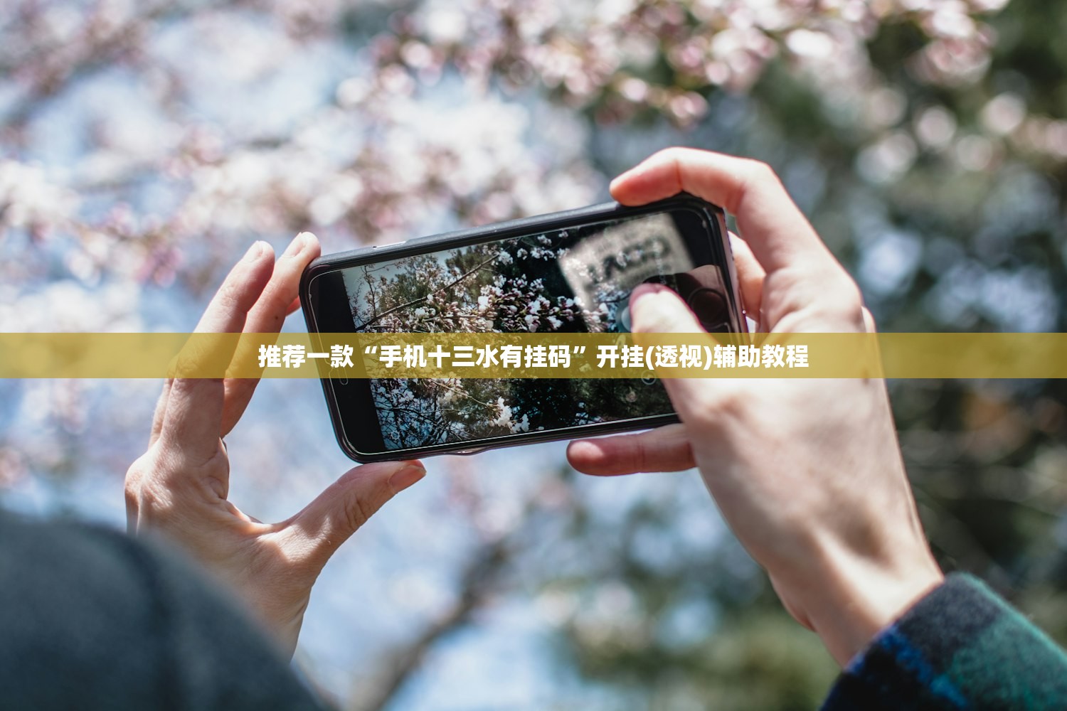 推荐一款“手机十三水有挂码”开挂(透视)辅助教程