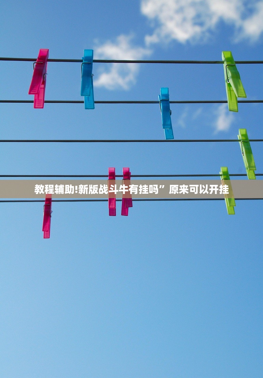 教程辅助!新版战斗牛有挂吗”原来可以开挂