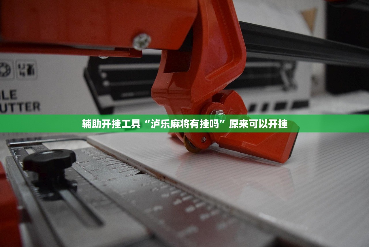 辅助开挂工具“泸乐麻将有挂吗	”原来可以开挂