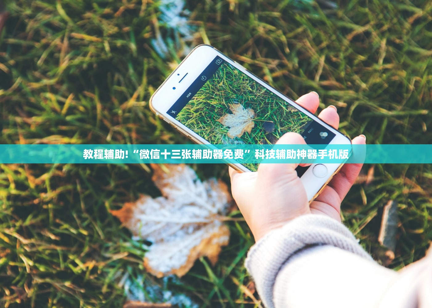 【疫情成都/疫情成都社保免费了吗】