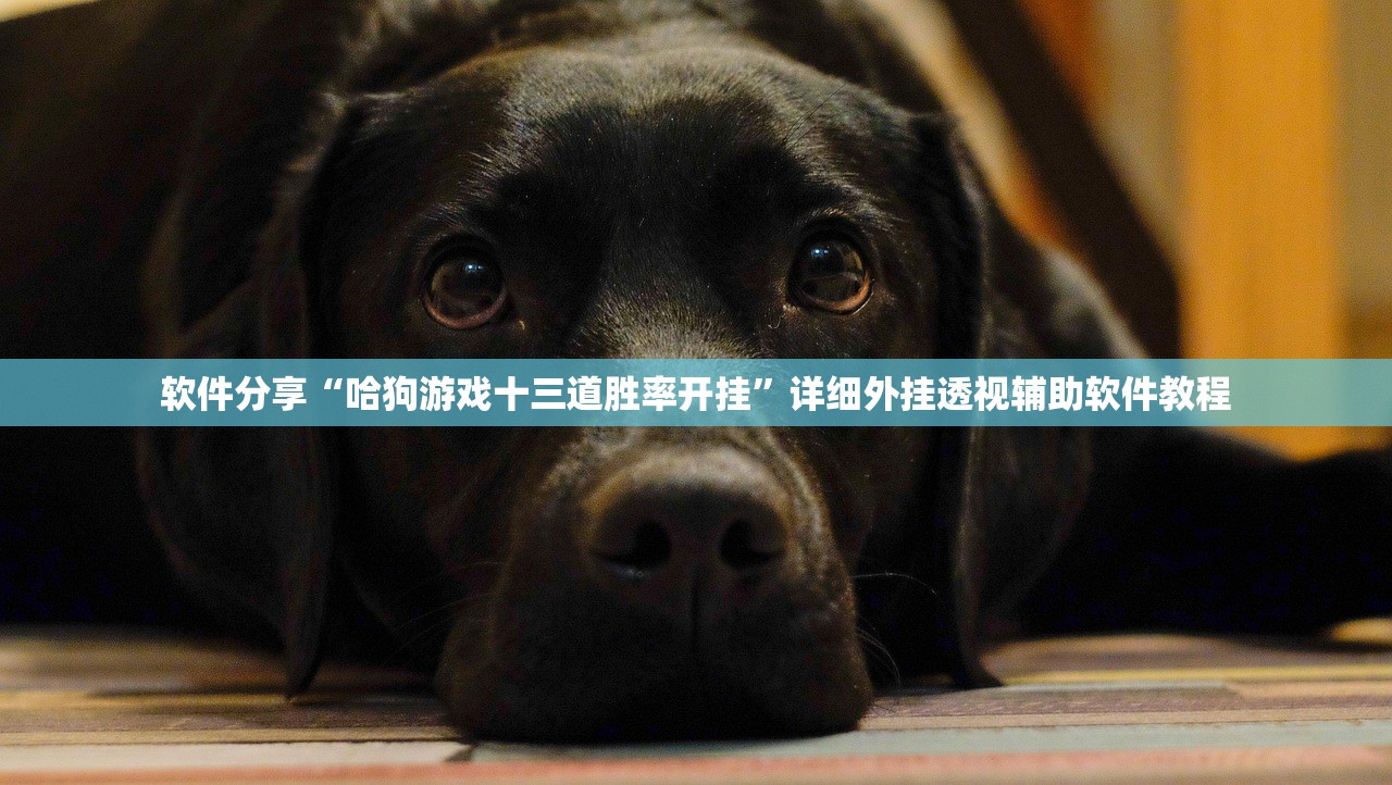 【即日起暂停全员核酸检测/即日起暂停全员核酸检测通知】