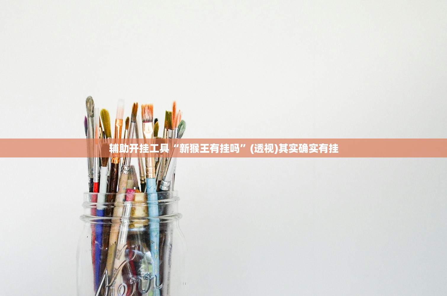 辅助开挂工具“新猴王有挂吗”(透视)其实确实有挂
