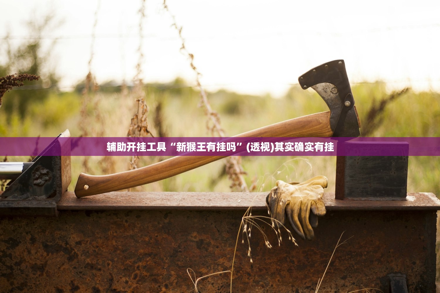 辅助开挂工具“新猴王有挂吗”(透视)其实确实有挂
