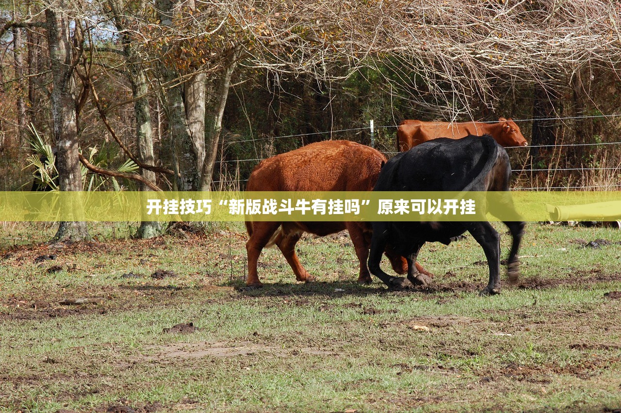 开挂技巧“新版战斗牛有挂吗”原来可以开挂