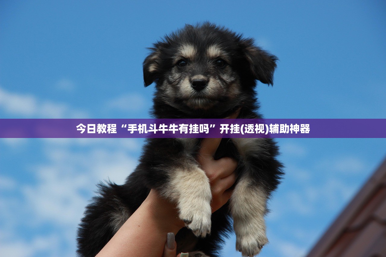 玩家必读“闲游娱乐怎么来好牌”开挂详细教程