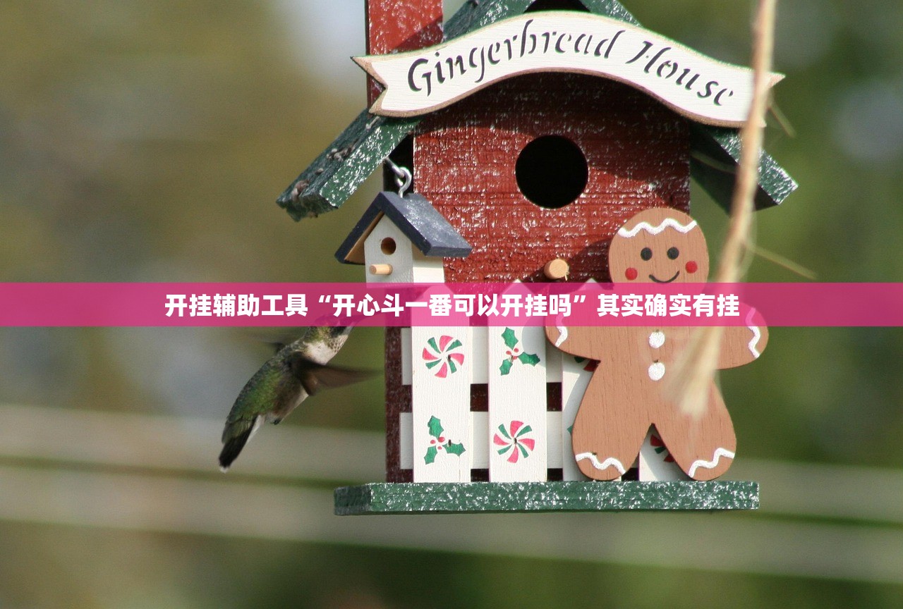 开挂辅助工具“开心斗一番可以开挂吗”其实确实有挂