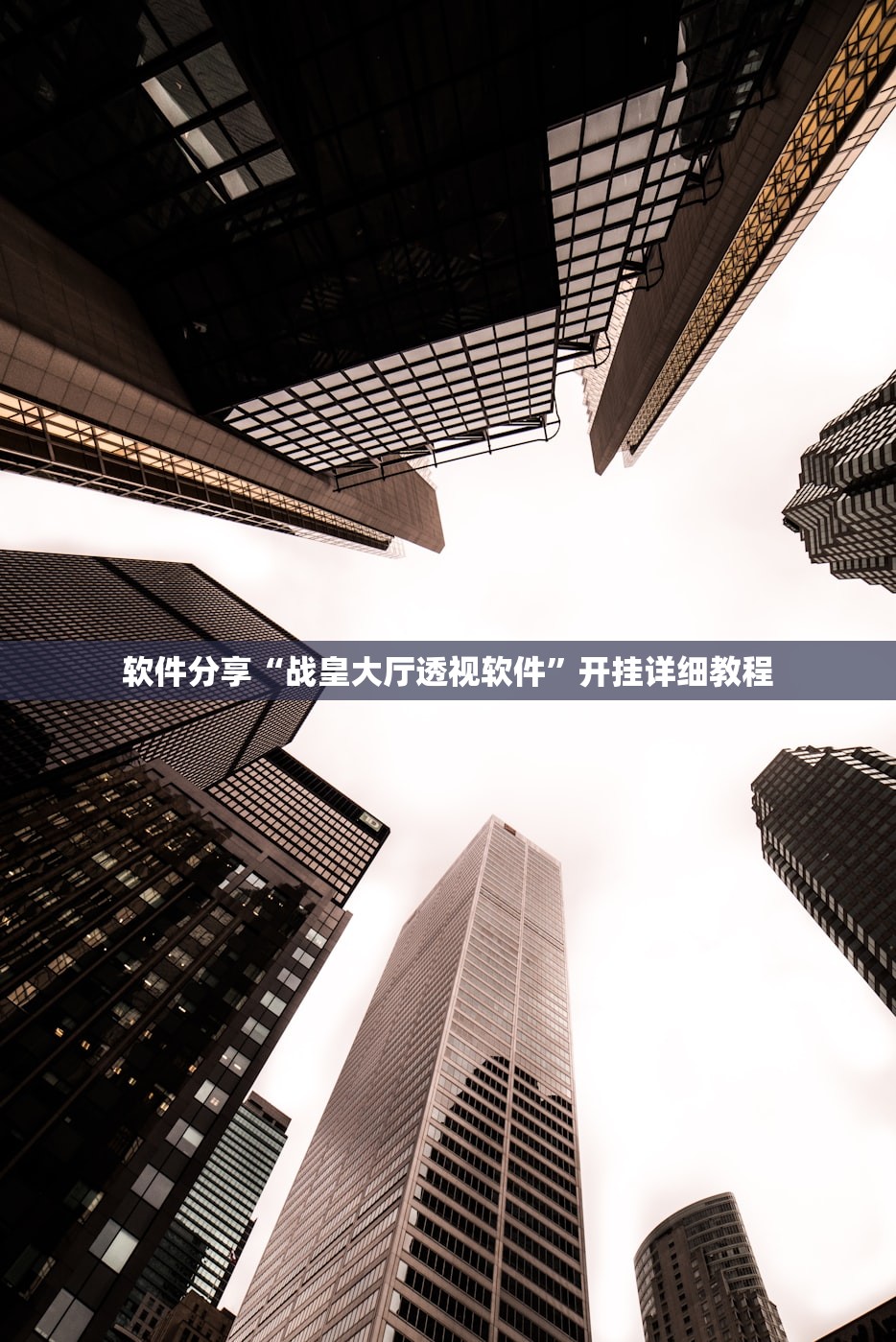 软件分享“战皇大厅透视软件”开挂详细教程