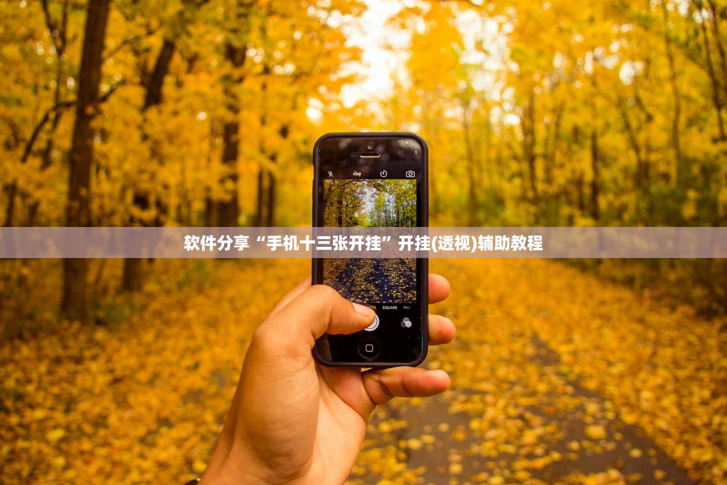 2026首发科技“微信微乐跑得快开挂下载安装”详细开挂教程