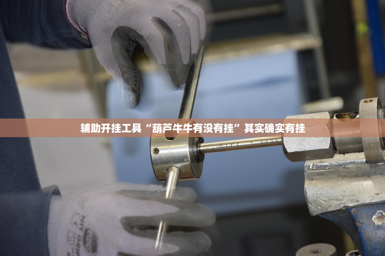 推荐一款“微乐划水辅助”原来可以开挂