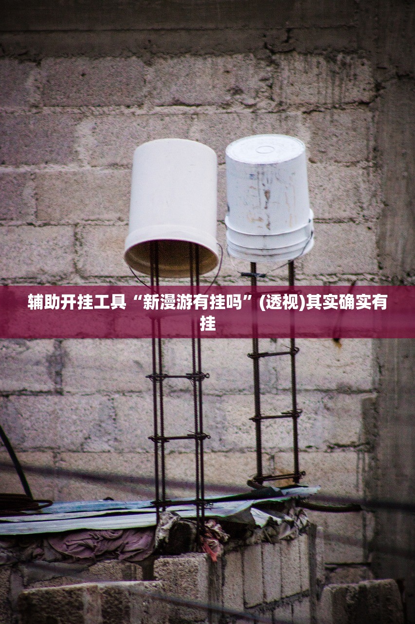 辅助开挂工具“新漫游有挂吗”(透视)其实确实有挂