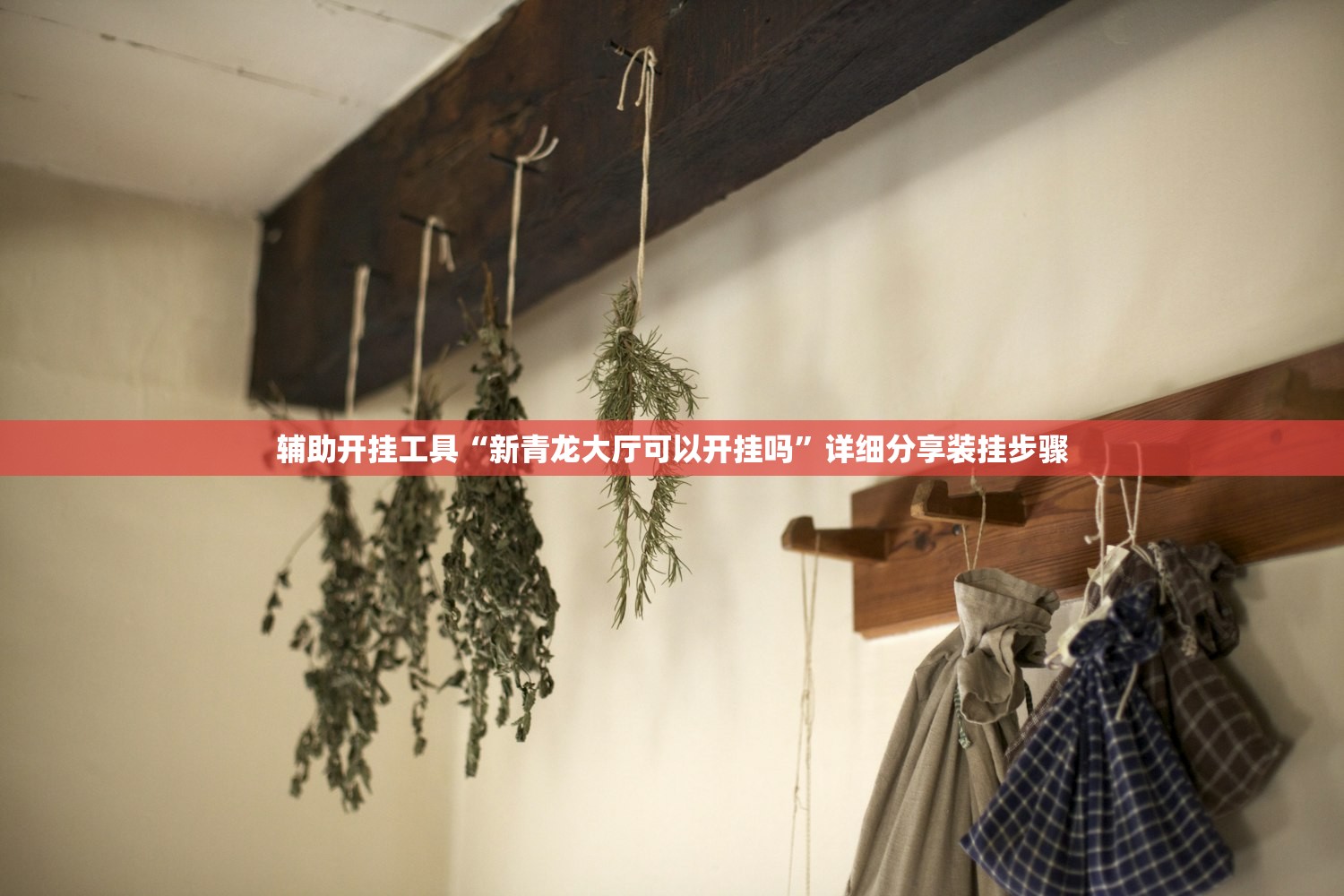 辅助开挂工具“新青龙大厅可以开挂吗”详细分享装挂步骤