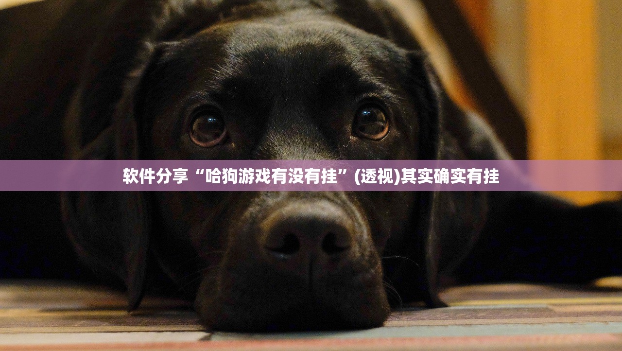 玩家必读“新讯奇麻将怎么开挂”开挂(透视)辅助教程