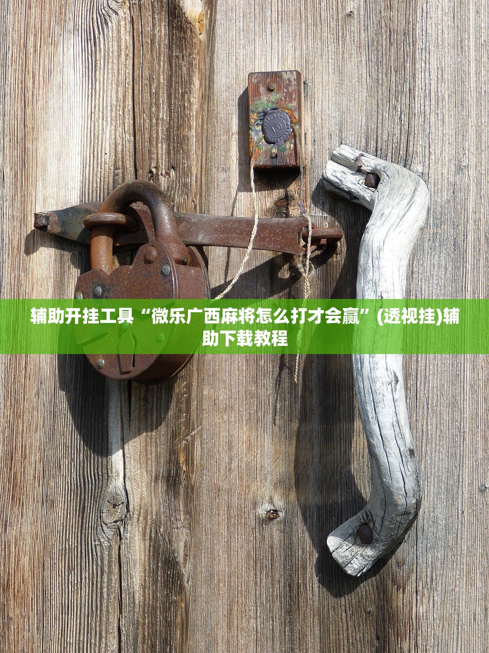 教程更新!：闲来贵州麻将怎么开挂”(免费)开挂辅助教学(最新辅助开挂教程)