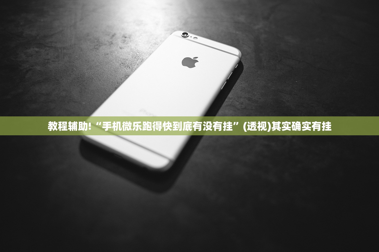 教程辅助!“手机微乐跑得快到底有没有挂”(透视)其实确实有挂
