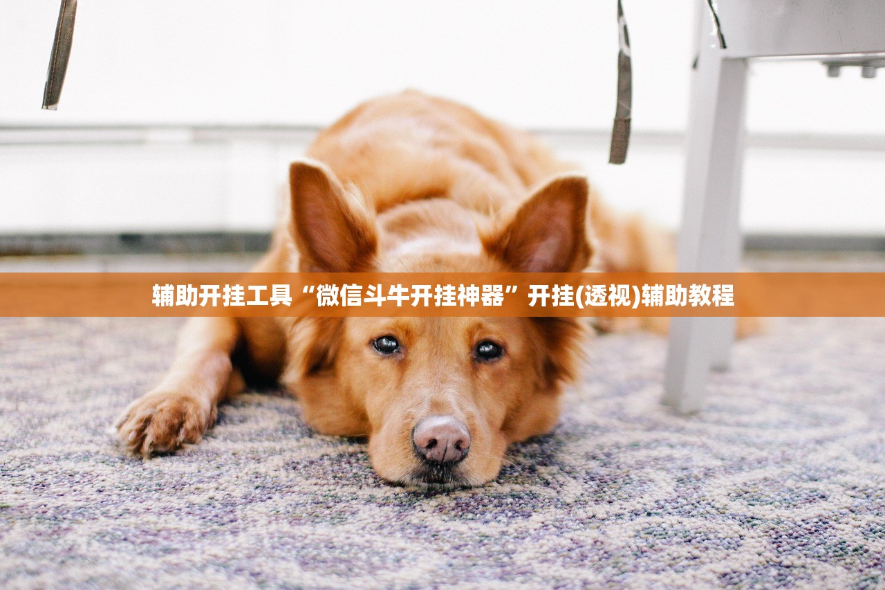 辅助开挂工具“微信斗牛开挂神器”开挂(透视)辅助教程